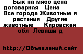 Бык на мясо цена договарная › Цена ­ 300 - Все города Животные и растения » Другие животные   . Кировская обл.,Леваши д.